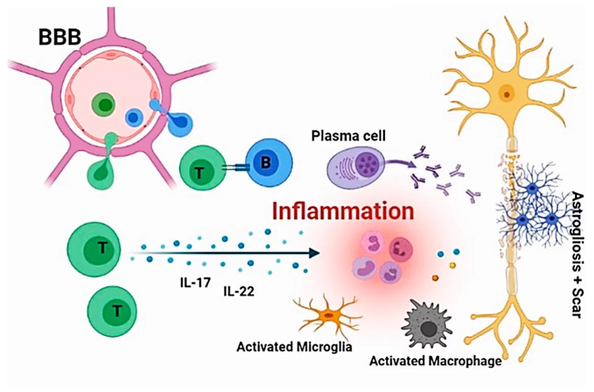biomolecules-11-01372-g001